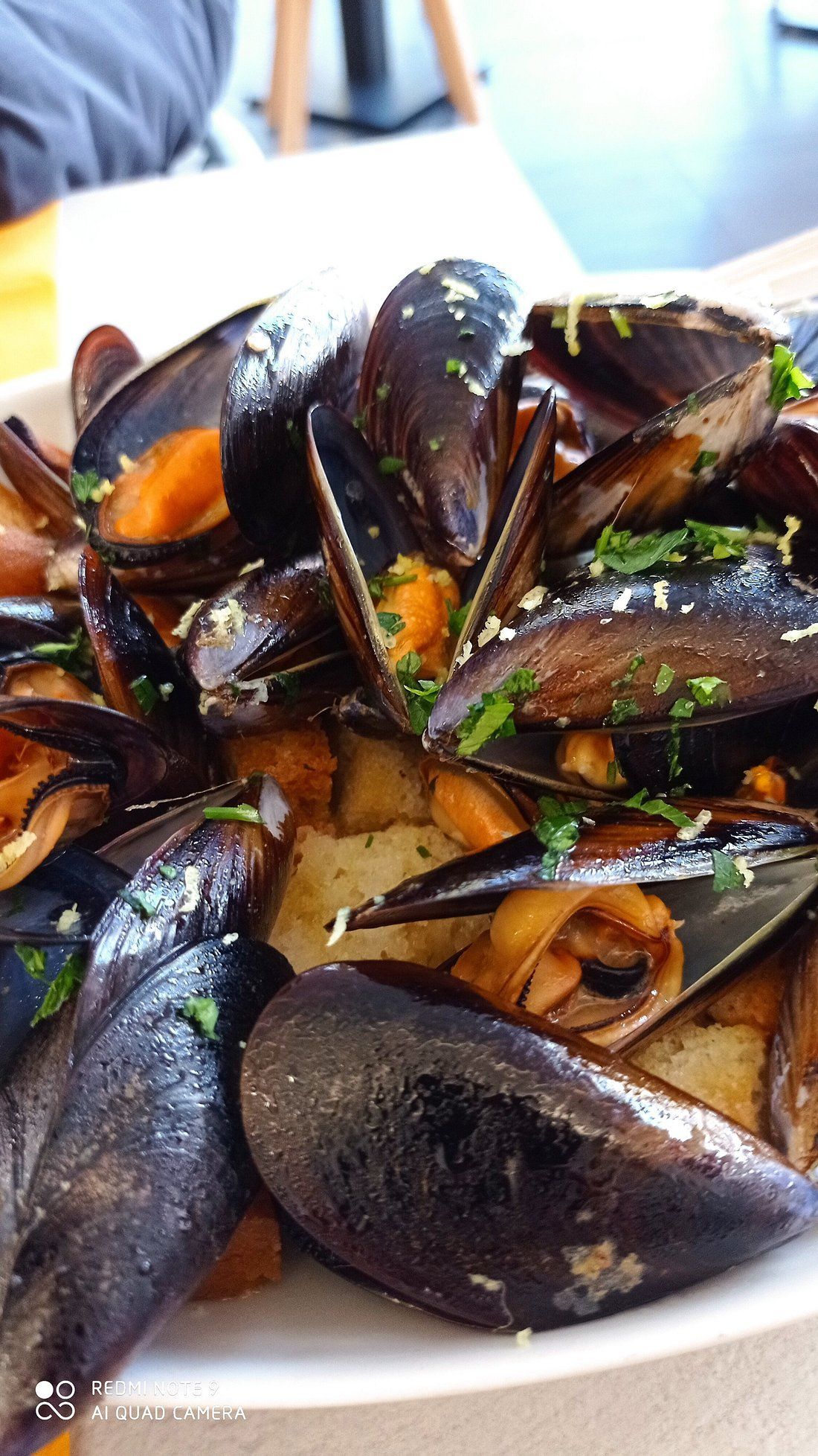 ristorante di pesce a Ladispoli GRAN BAR NAZIONALE
