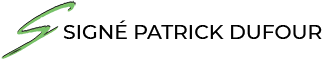 Un logo pour signe patrick dufour avec une flèche verte.