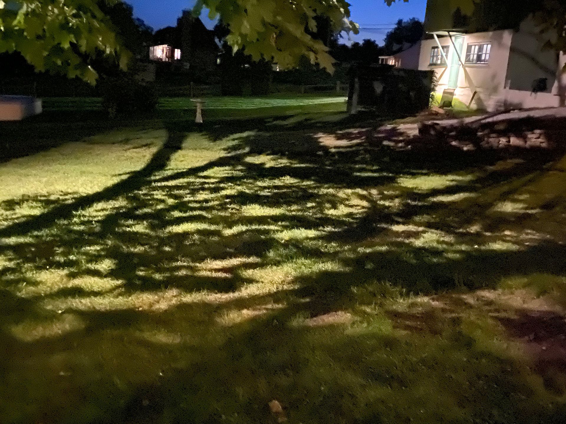L'ombre d'un arbre est projetée sur l'herbe devant une maison