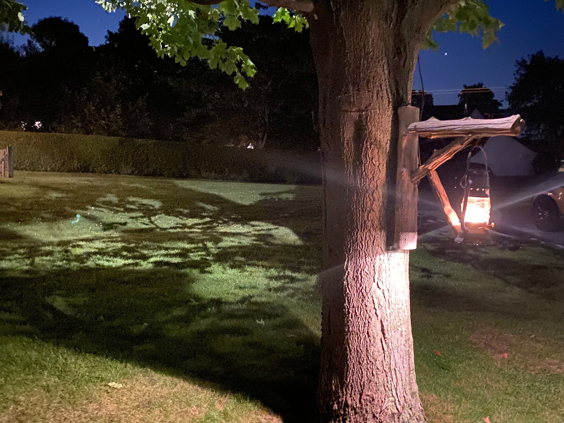 Une lanterne est suspendue à un arbre dans un jardin la nuit