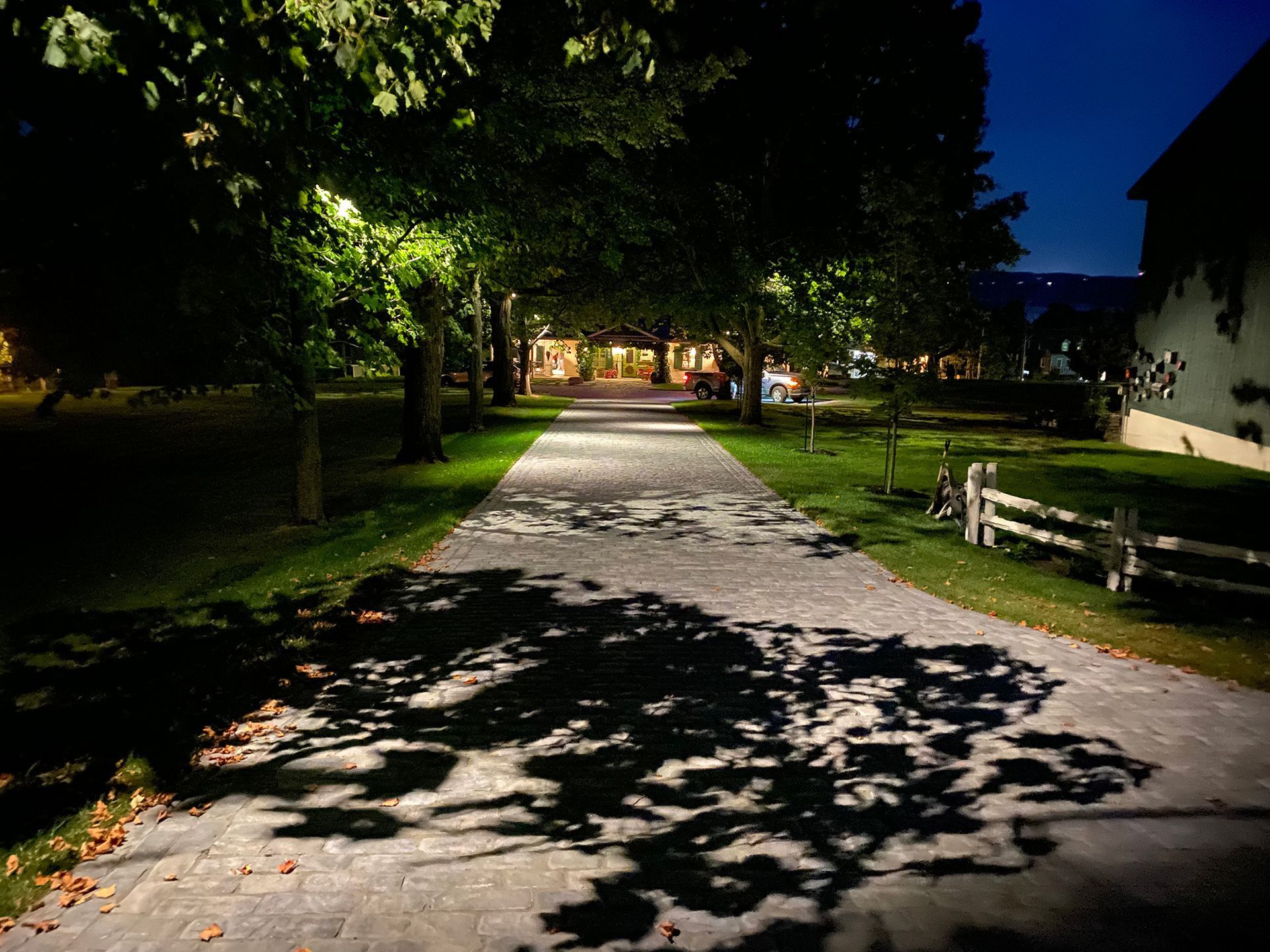 L'ombre d'un arbre est projetée sur une allée la nuit