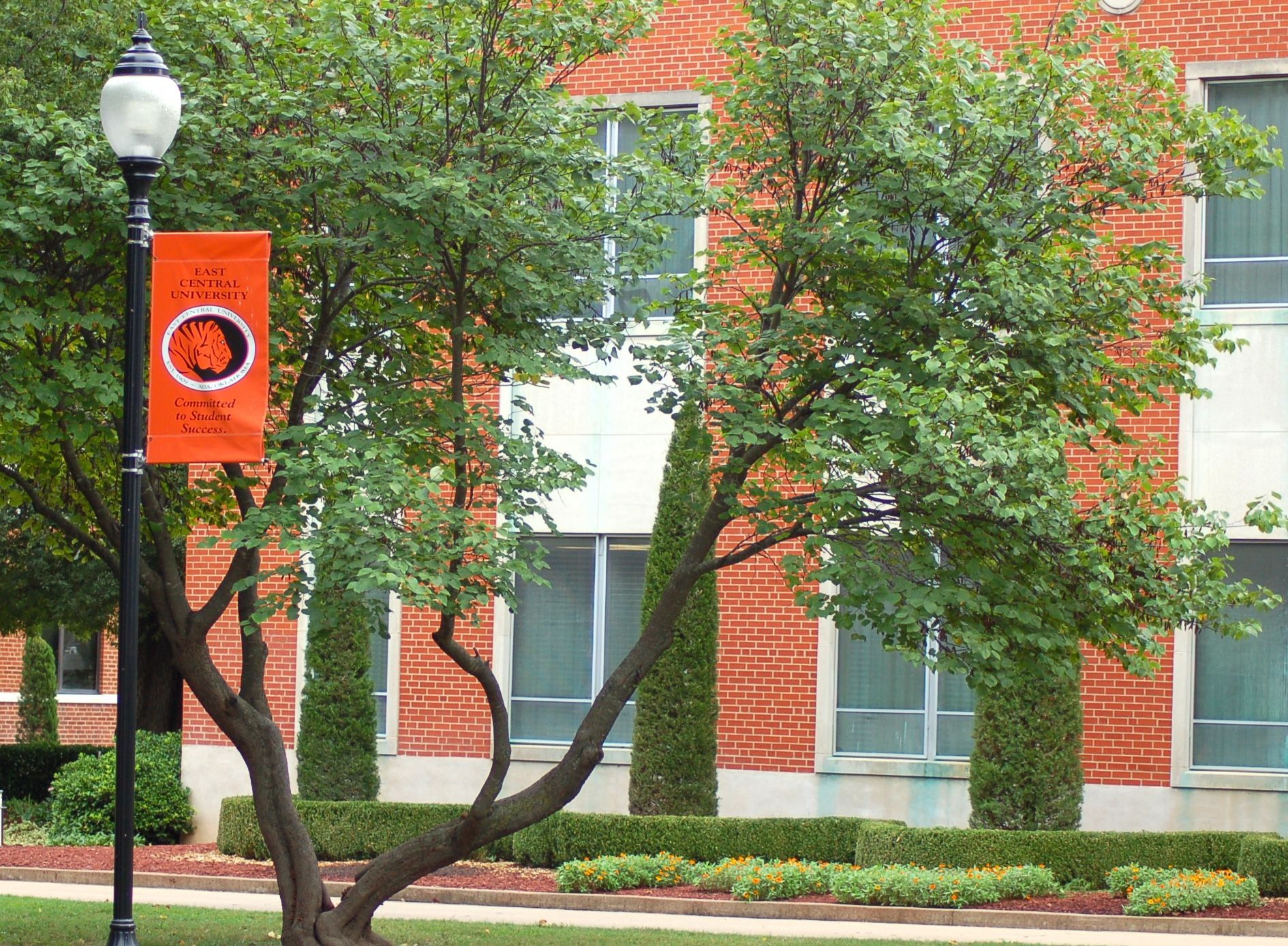 Image of pretty foliage on the East Central University campus