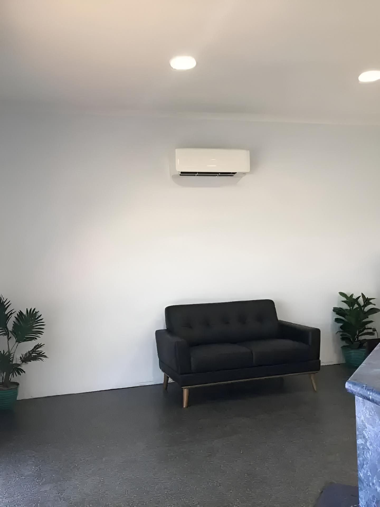 A Living Room With A Black Couch And Two Potted Plants — Beards Refrigeration & Air Conditioning in Bucasia, QLD