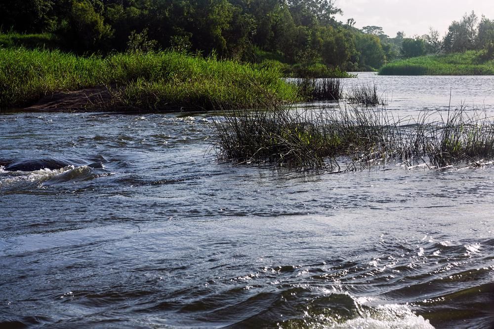 A River Flowing Through A Grassy Area With Trees In The Background — Beards Refrigeration & Air Conditioning in Marian, QLD