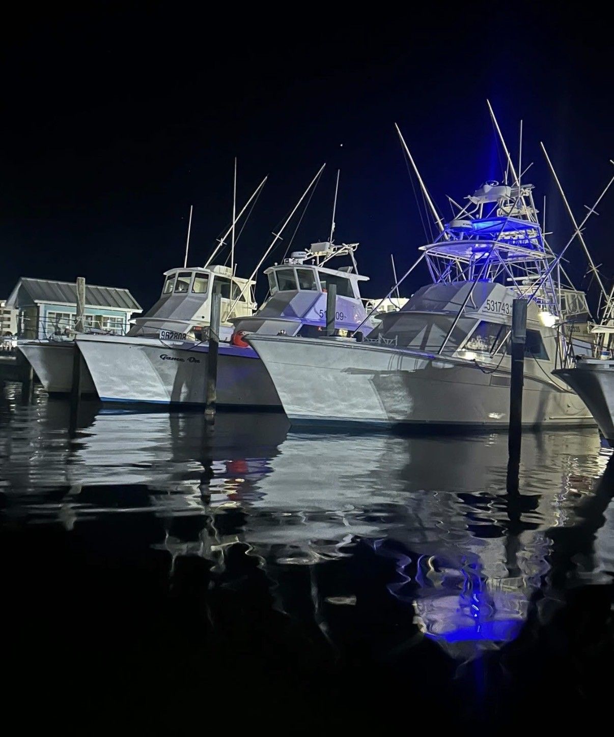 Fishing boats lit blue at a marina at night, reflected in calm water