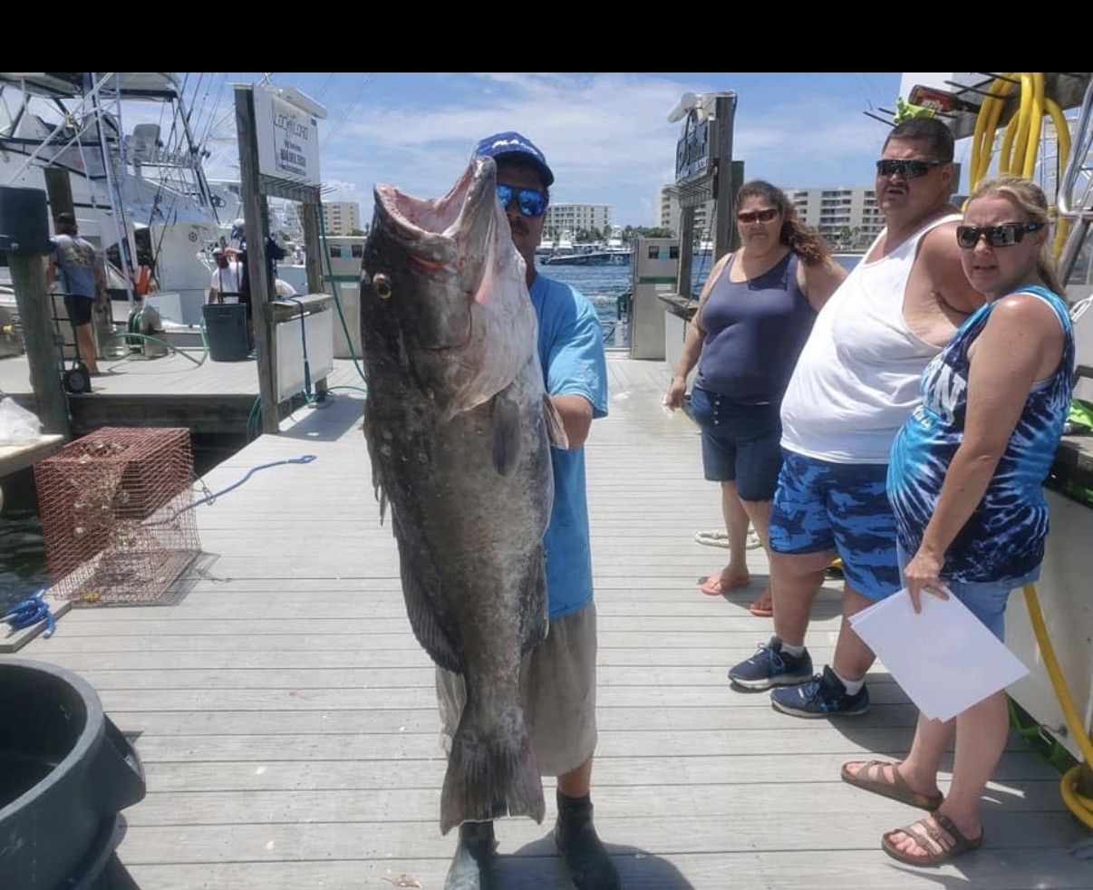 Man holding a large fish on a dock while people watch nearby