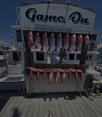 Fish-cleaned charter boat docked, named “Game On,” with rows of red fish hanging on the front.