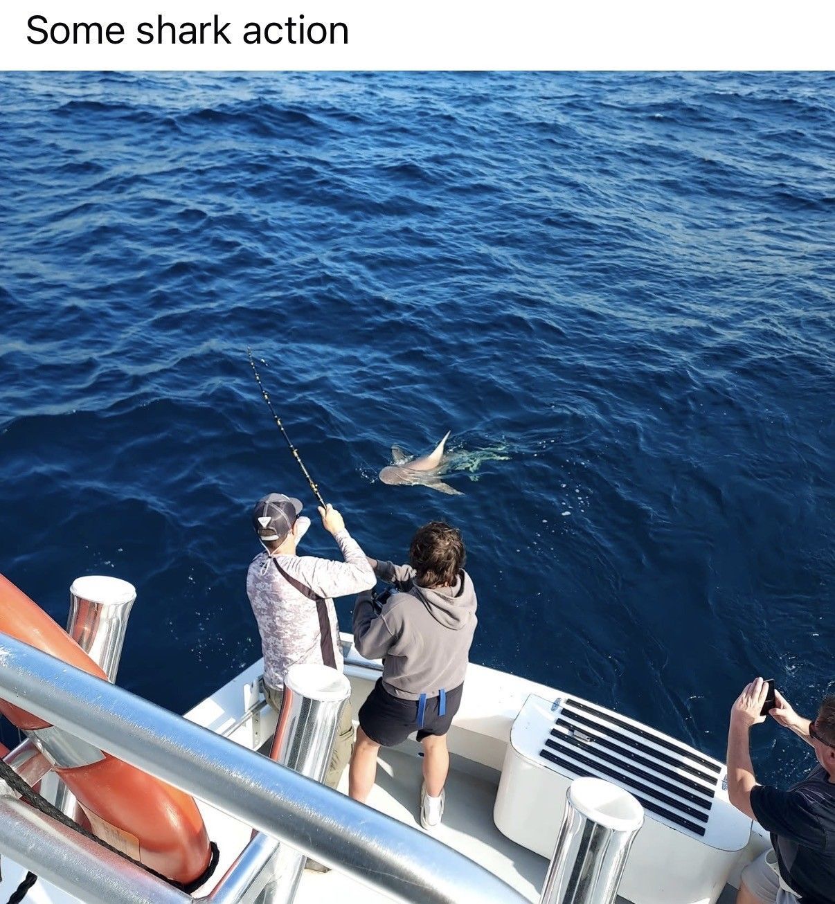 Two people on a boat reel in a shark in deep blue water, with another person filming nearby.