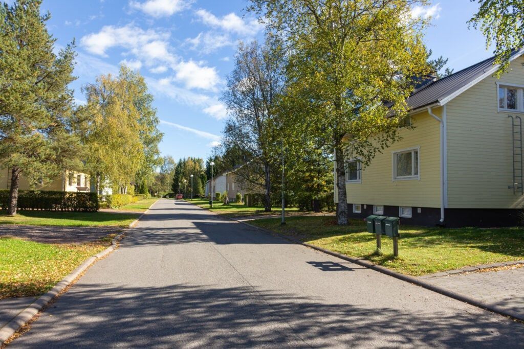 neighborhood road and houses in green
