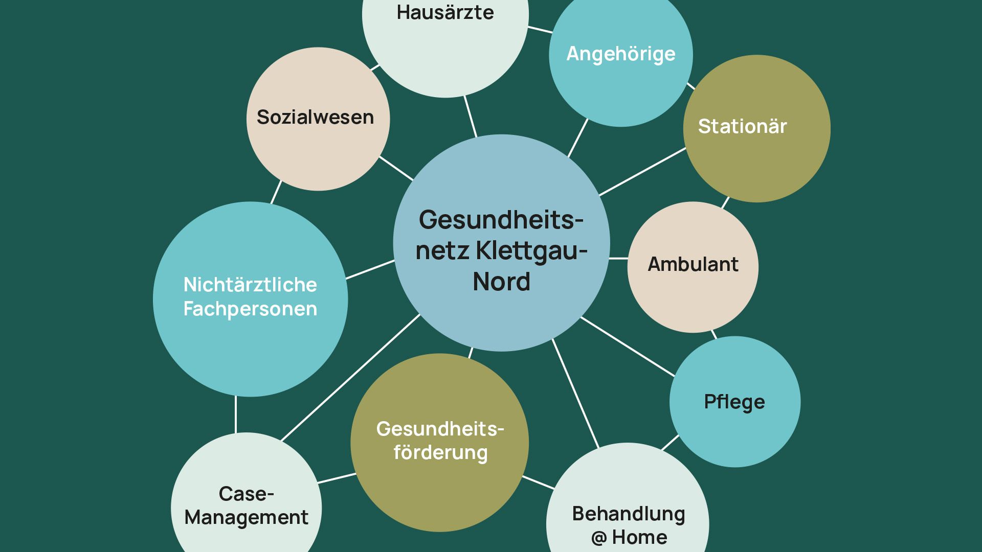 Ein Diagramm eines Gesundheitsnetz in Schaffhausen