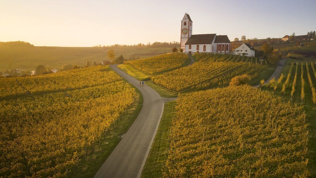 An aerial view of a church in the middle of a vineyard at sunset.