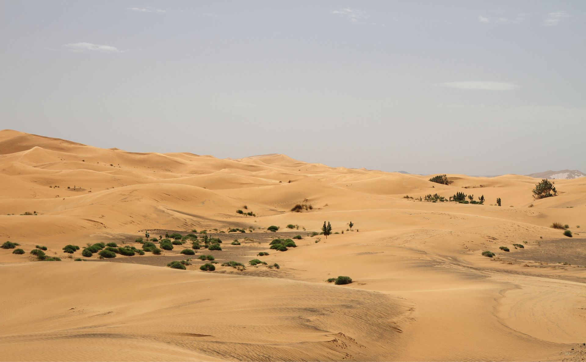 3-Day Marrakech to Merzouga Merzouga