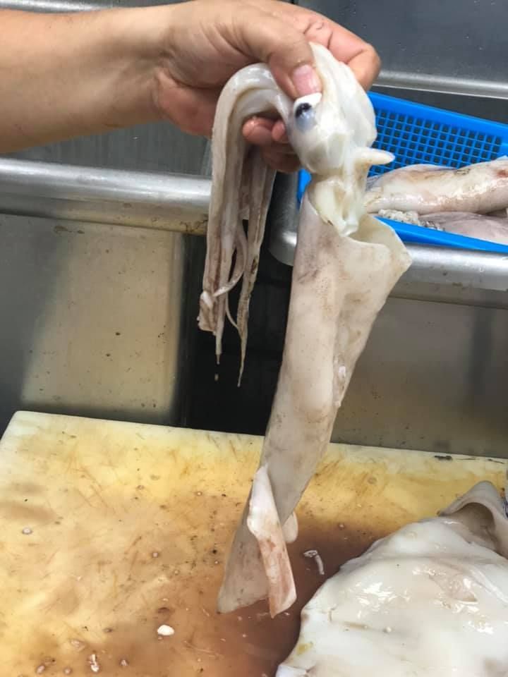 Hand holding a squid over a fish-cleaning sink and cutting board, with another squid body below