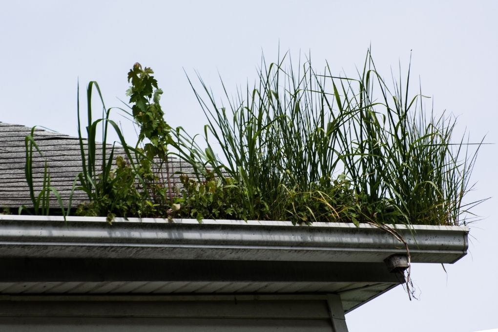 gutter-cleaning-steeton