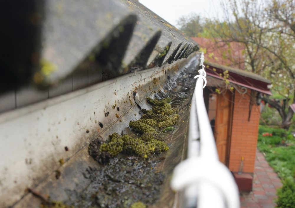gutter-cleaning-steeton