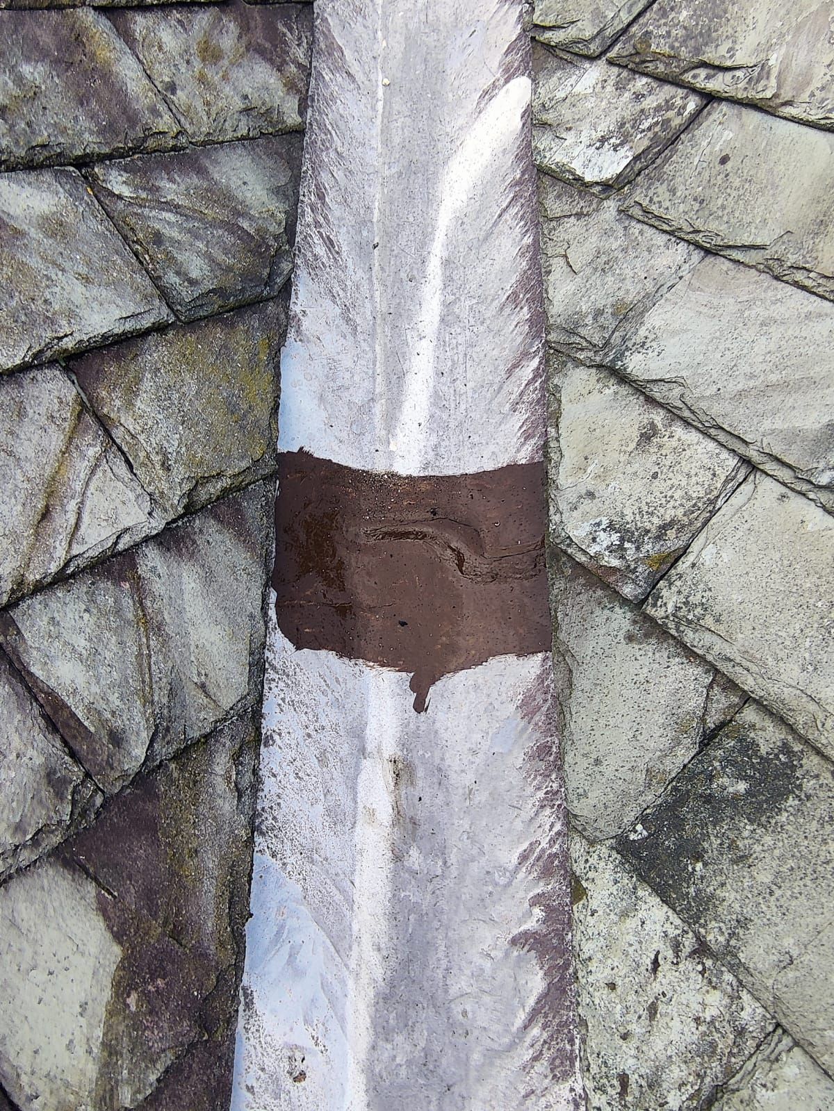gutter-cleaning-steeton