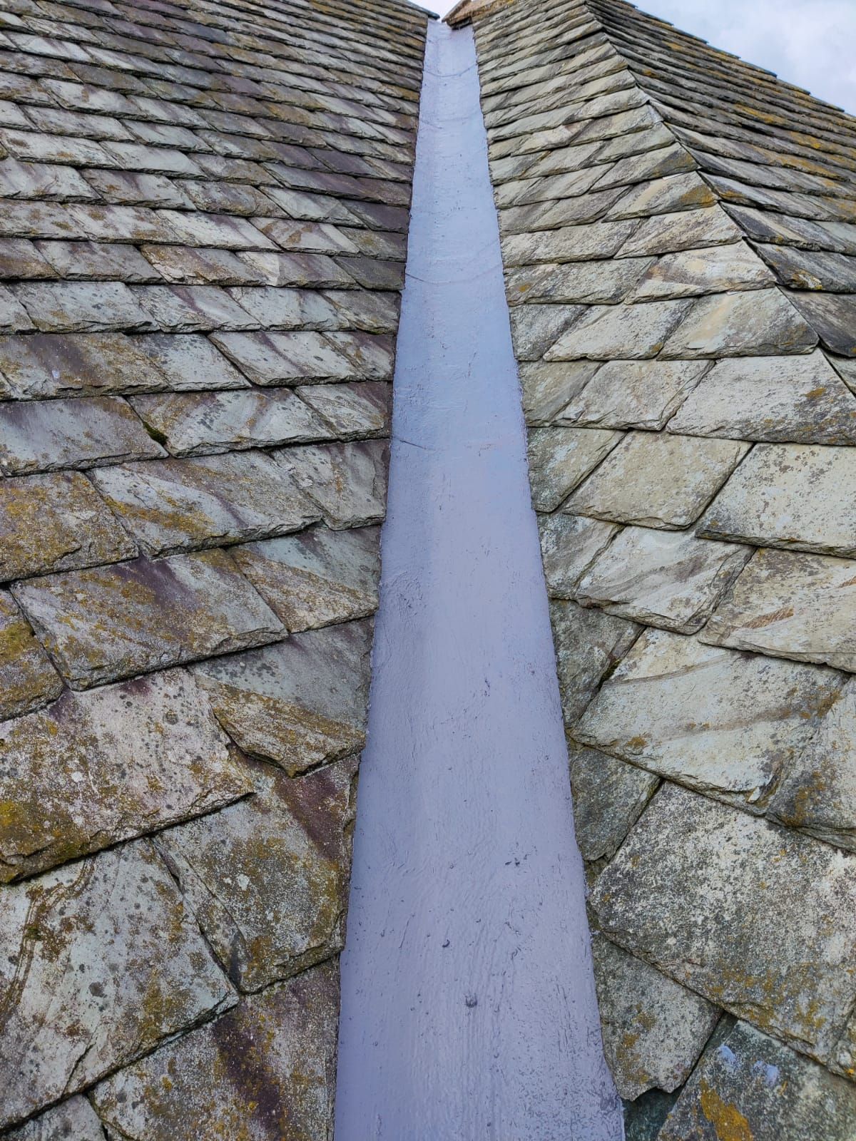 gutter-cleaning-steeton