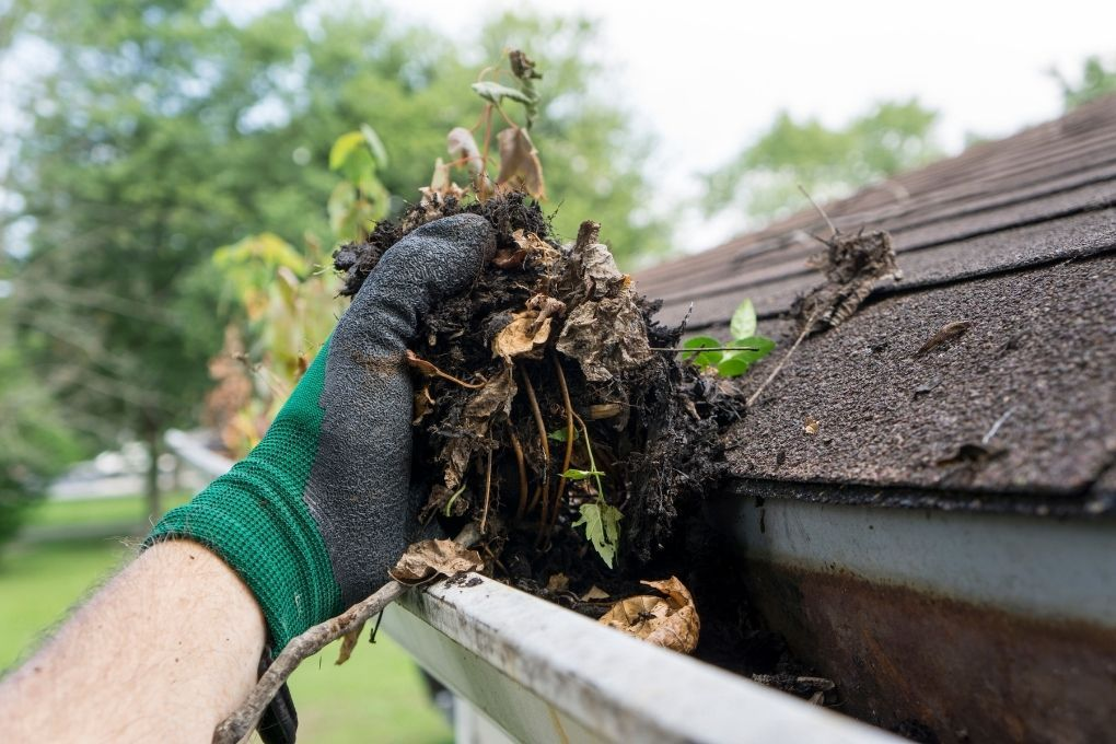 gutter-cleaning-steeton
