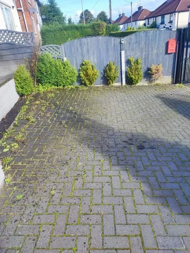 how-to-clean-a-resin-driveway