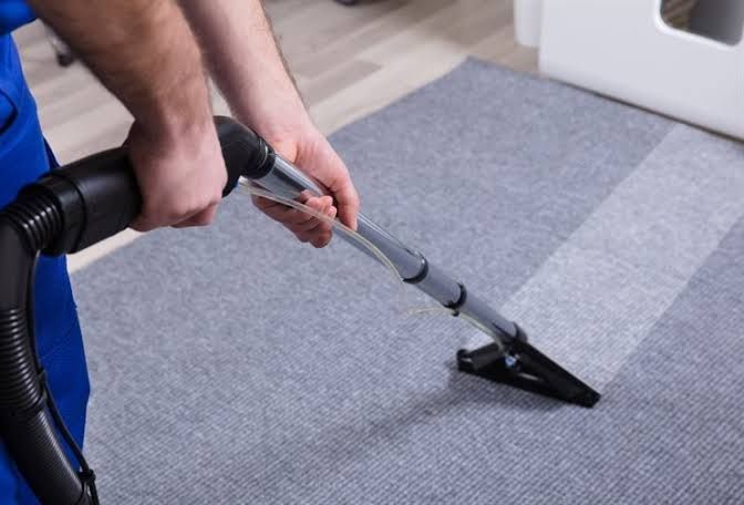 how-to-clean-throw-up-from-carpet