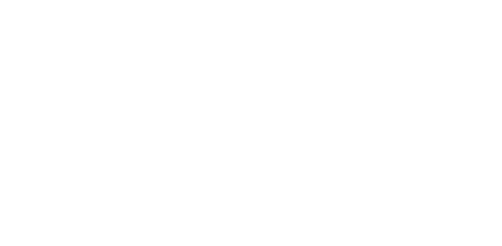 Aveiro Boat Experience Logo