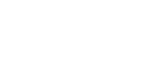 Aveiro Boat Experience
