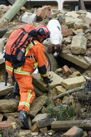 Rescue 