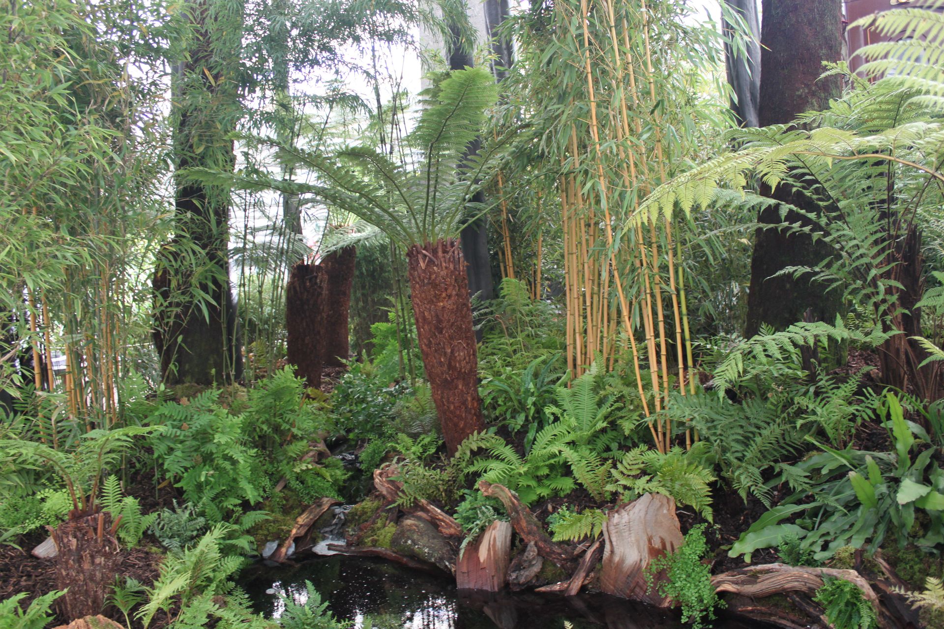 Unique Gardens in Devon | National Hosta & Agapanthus Collections