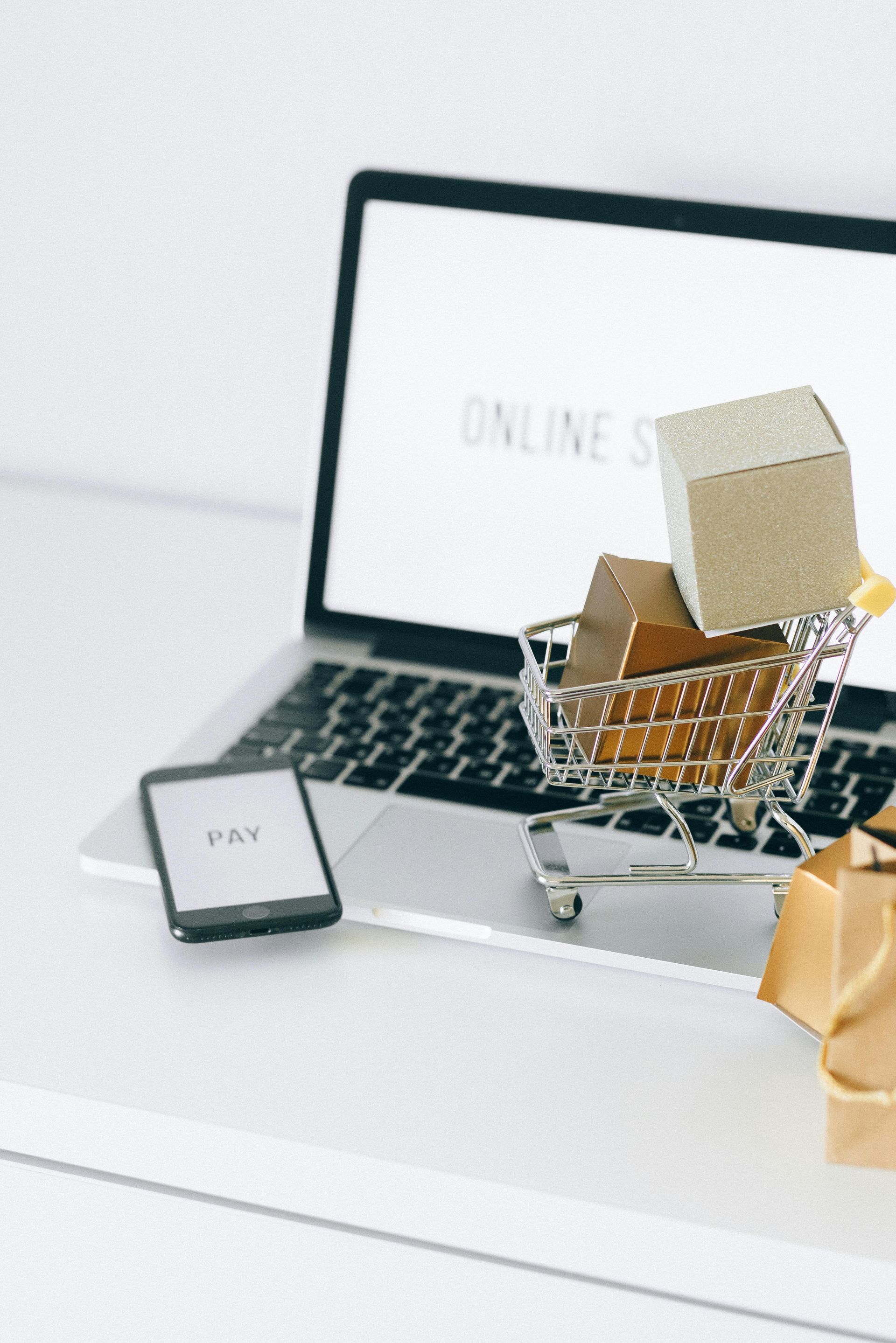 E-Commerce Website - Annual Subscription $2400 SAVE 10%