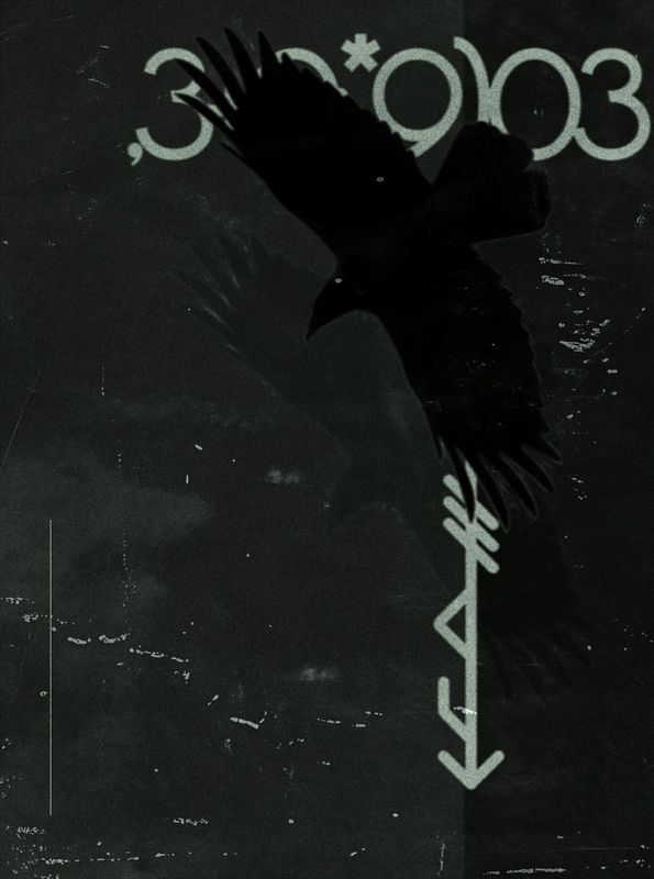 Black bird silhouette over dark green background with abstract white symbols and numbers