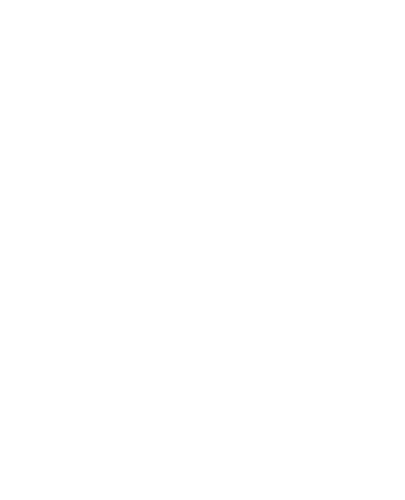 Blank white screen with a thin black vertical bar along the right edge.