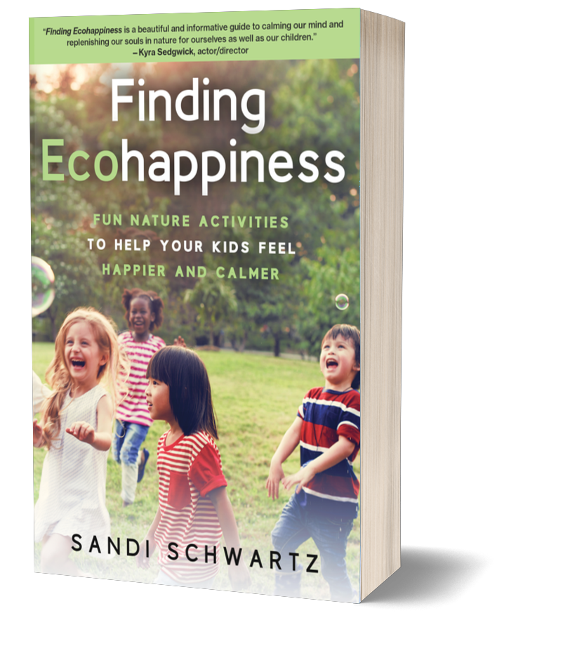 Finding Ecohappiness: Fun Nature Activities to Help Your Kids Feel Happier and Calmer by Sandi Schwartz Finding Ecohappiness: Fun Nature Activities to Help Your Kids Feel Happier and Calmer by Sandi Schwartz