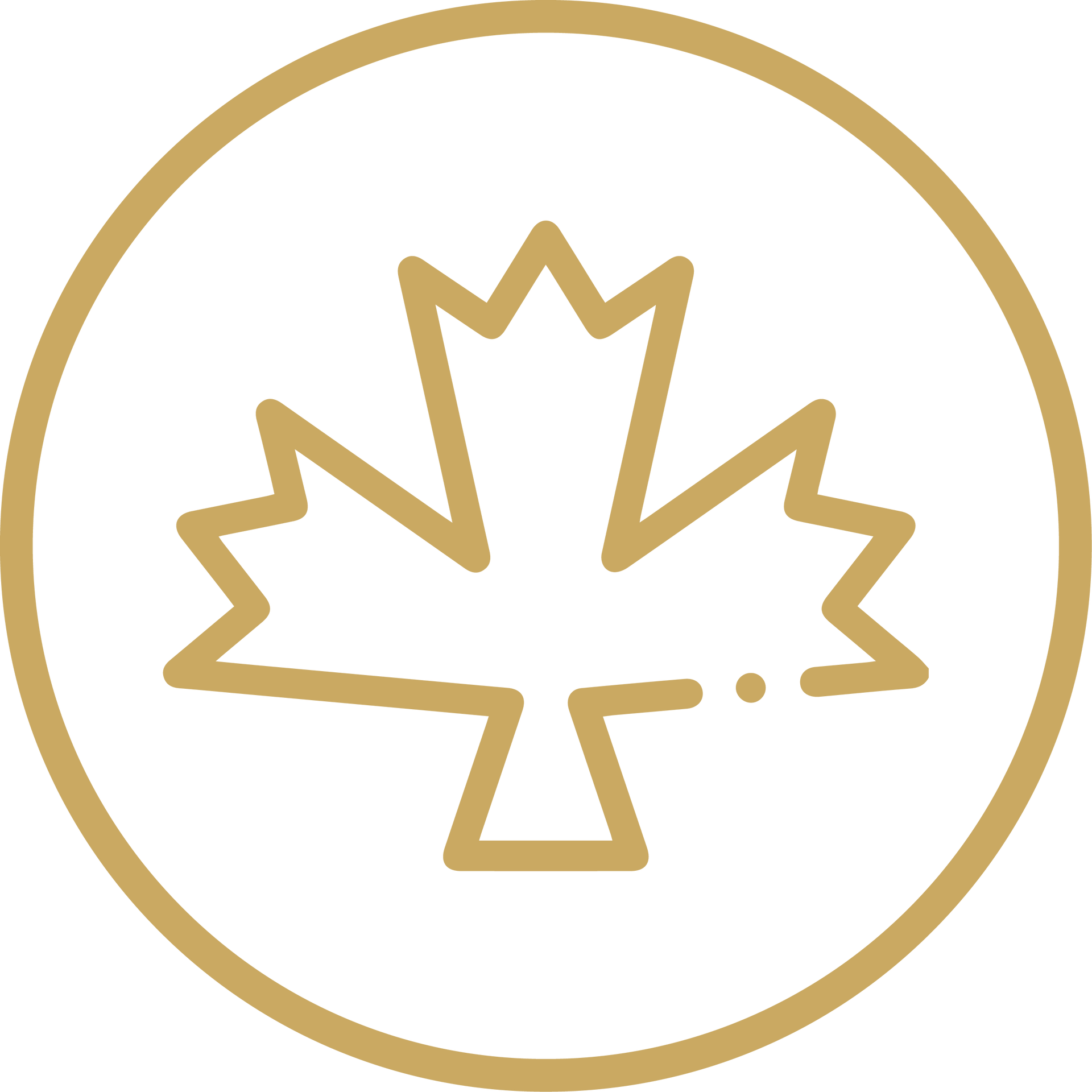 Gold maple leaf icon inside a gold circle on a white background
