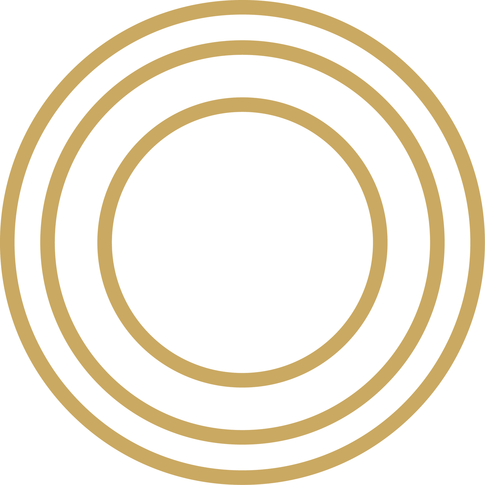 Three thin gold concentric circles on a white background
