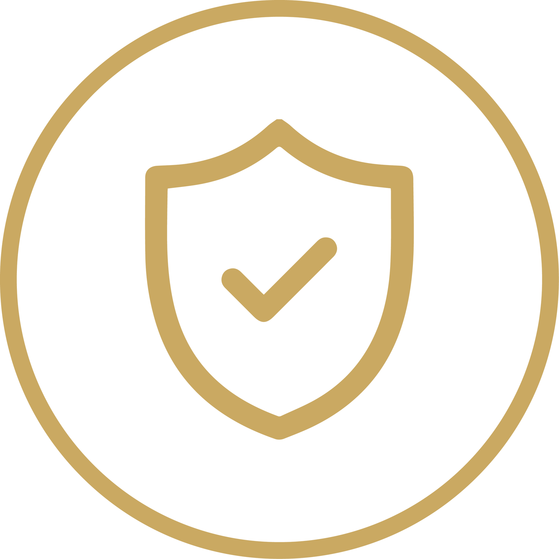 Gold shield with checkmark inside a circle icon on a white background