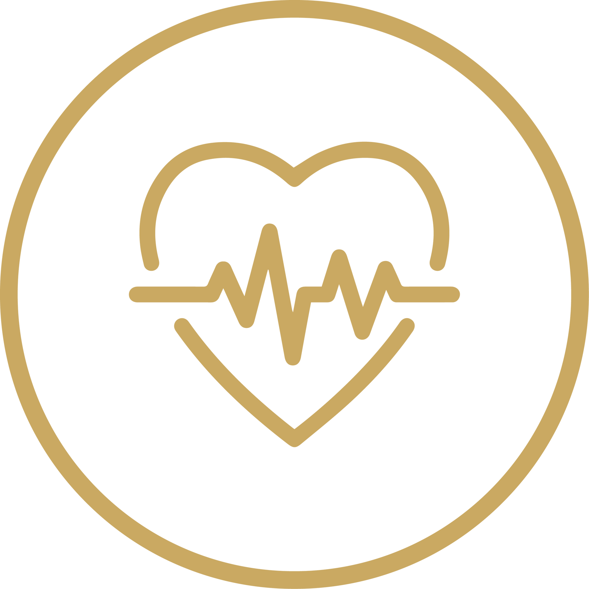 Gold heart with ECG line inside a gold circle on a white background