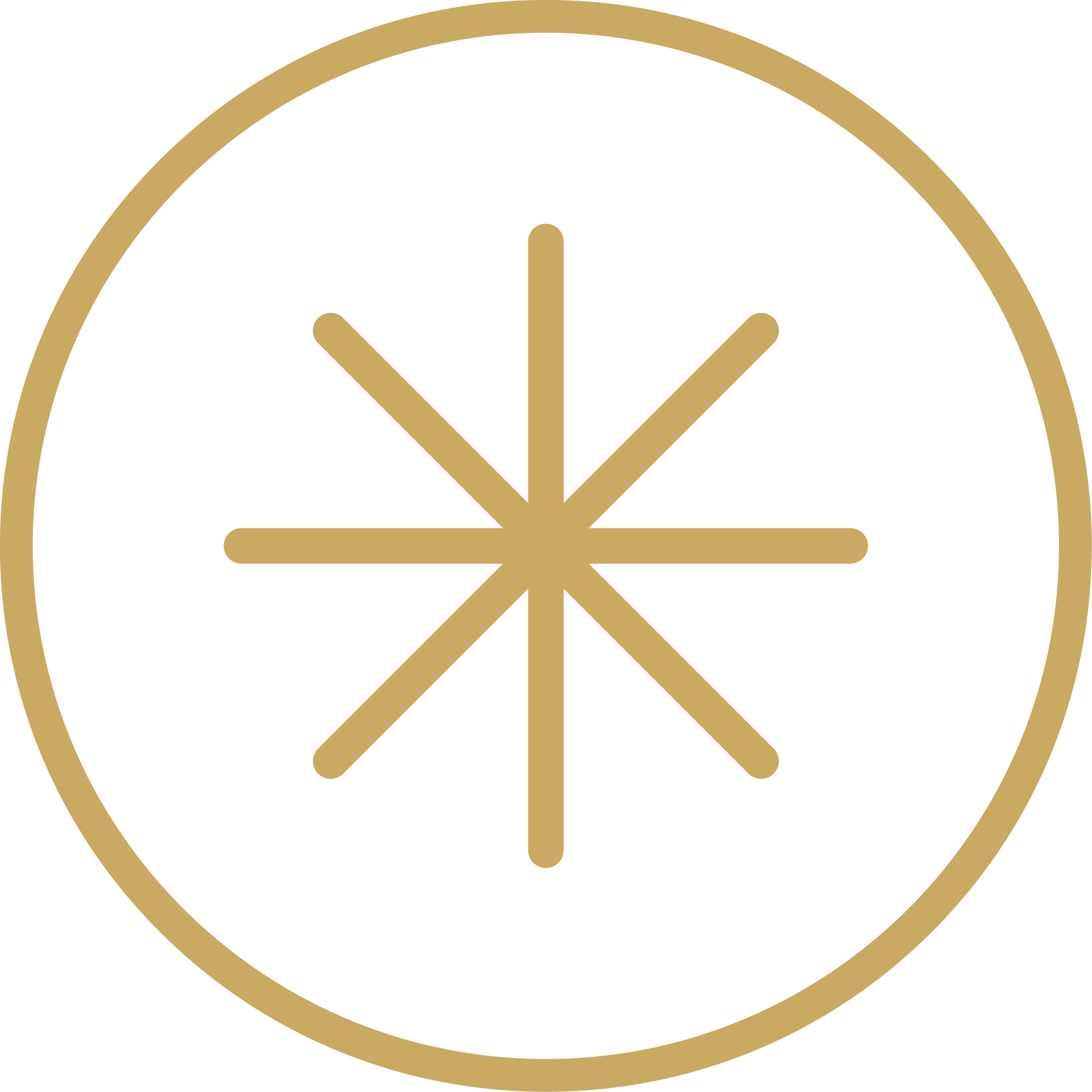 Gold asterisk inside a thin gold circle on a white background