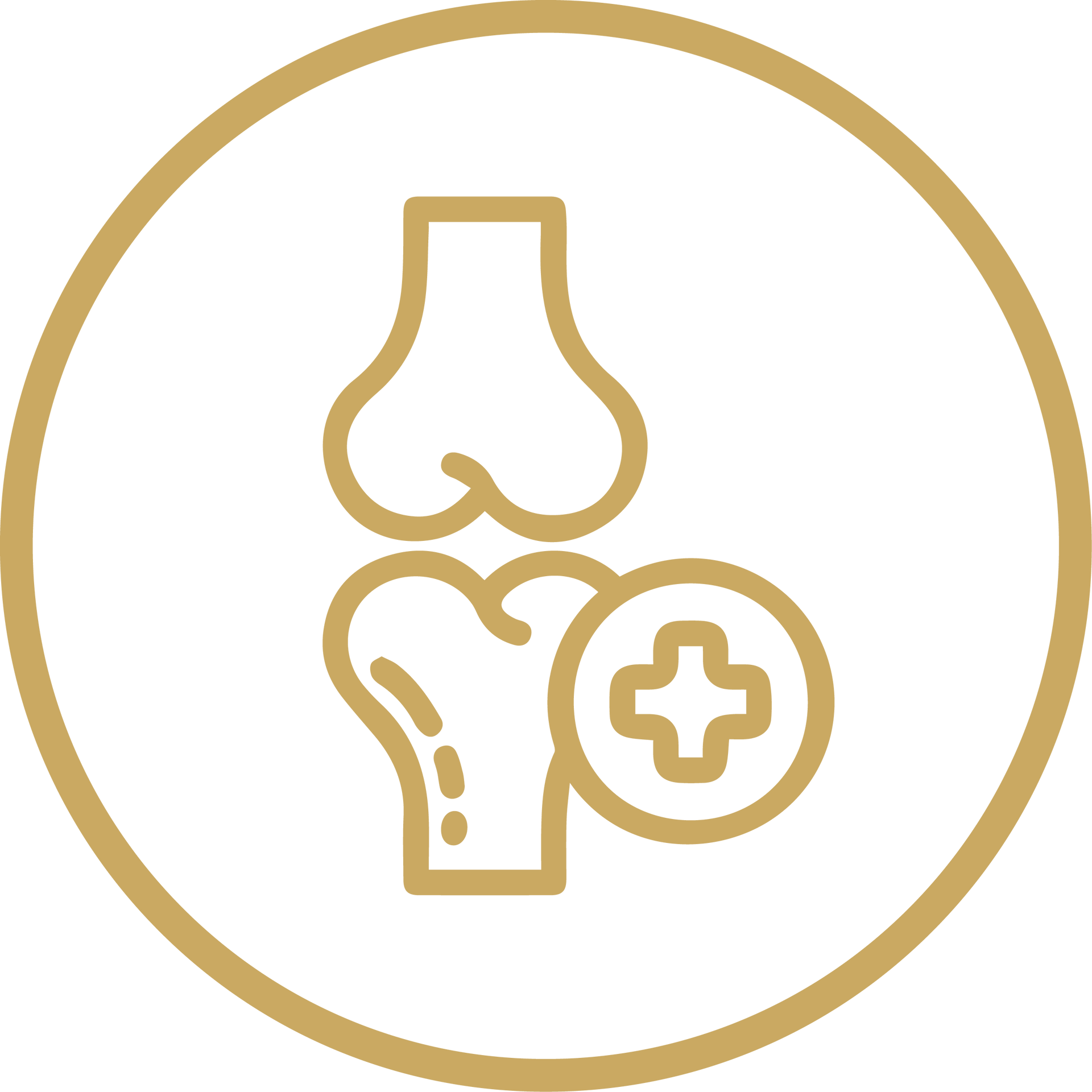Gold medical icon showing lungs and an inhaler inside a circle