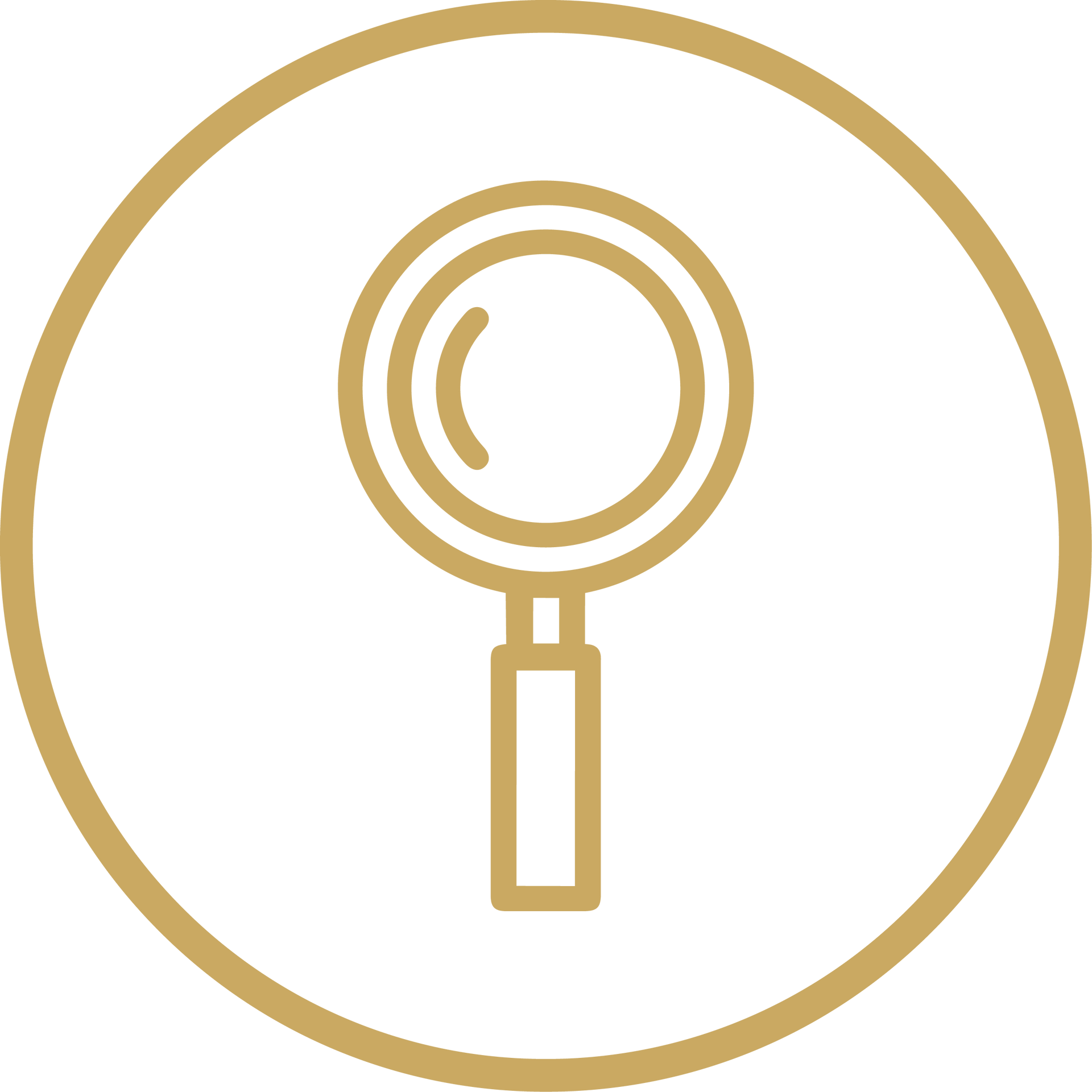 Gold magnifying glass icon inside a circle on a white background