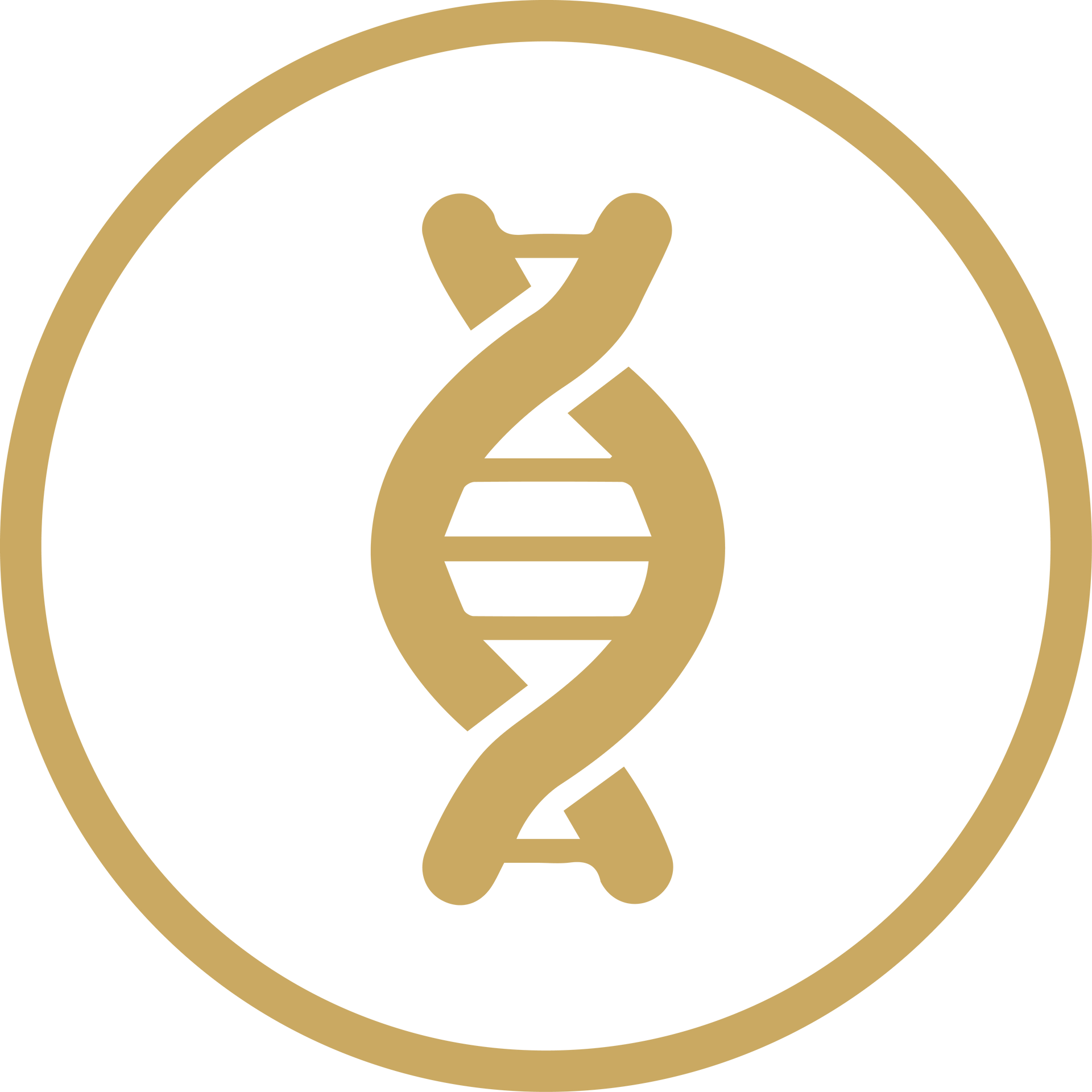 Gold DNA helix icon inside a gold circle on a white background