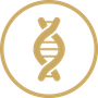 Gold DNA helix inside a gold circle on a white background