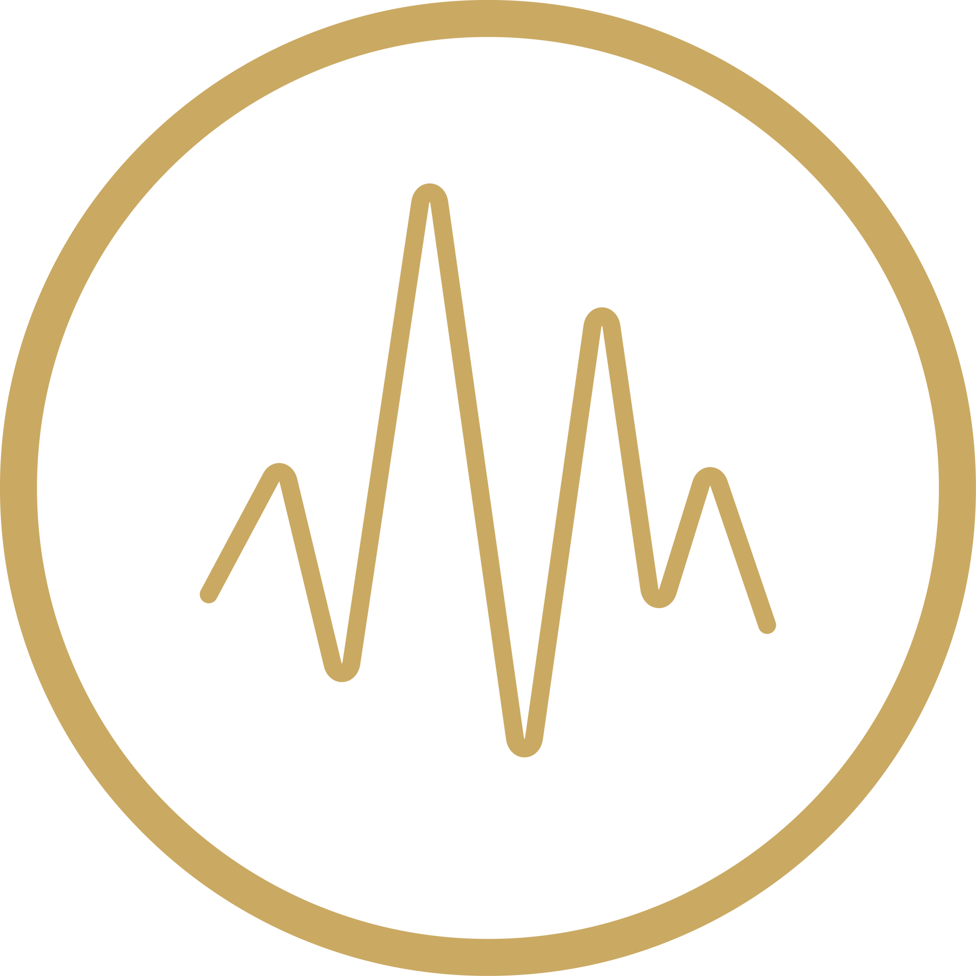 Gold heartbeat line inside a gold circle on a white background