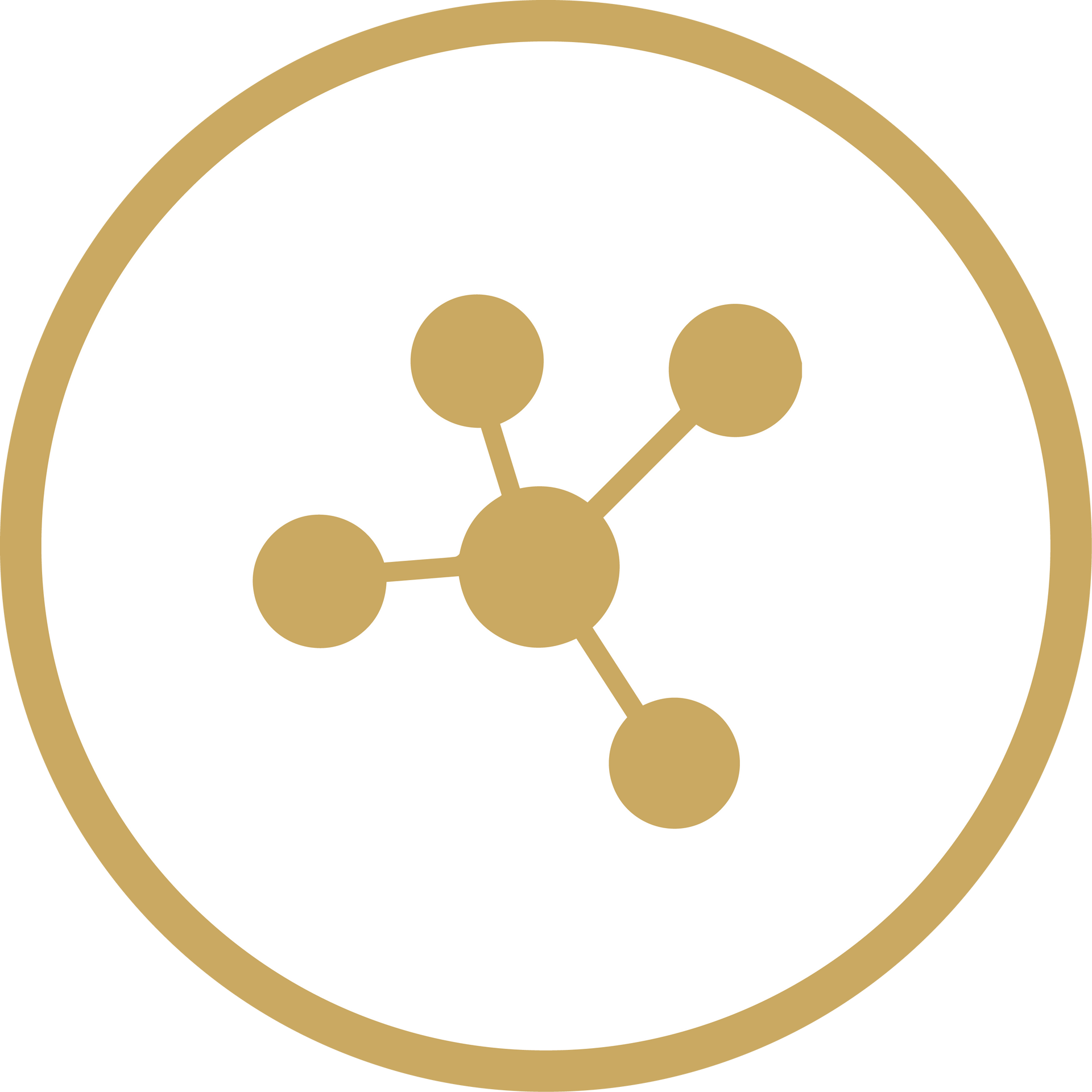 Gold network-style icon inside a gold circle on a white background