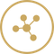 Gold network icon inside a gold circle on a white background