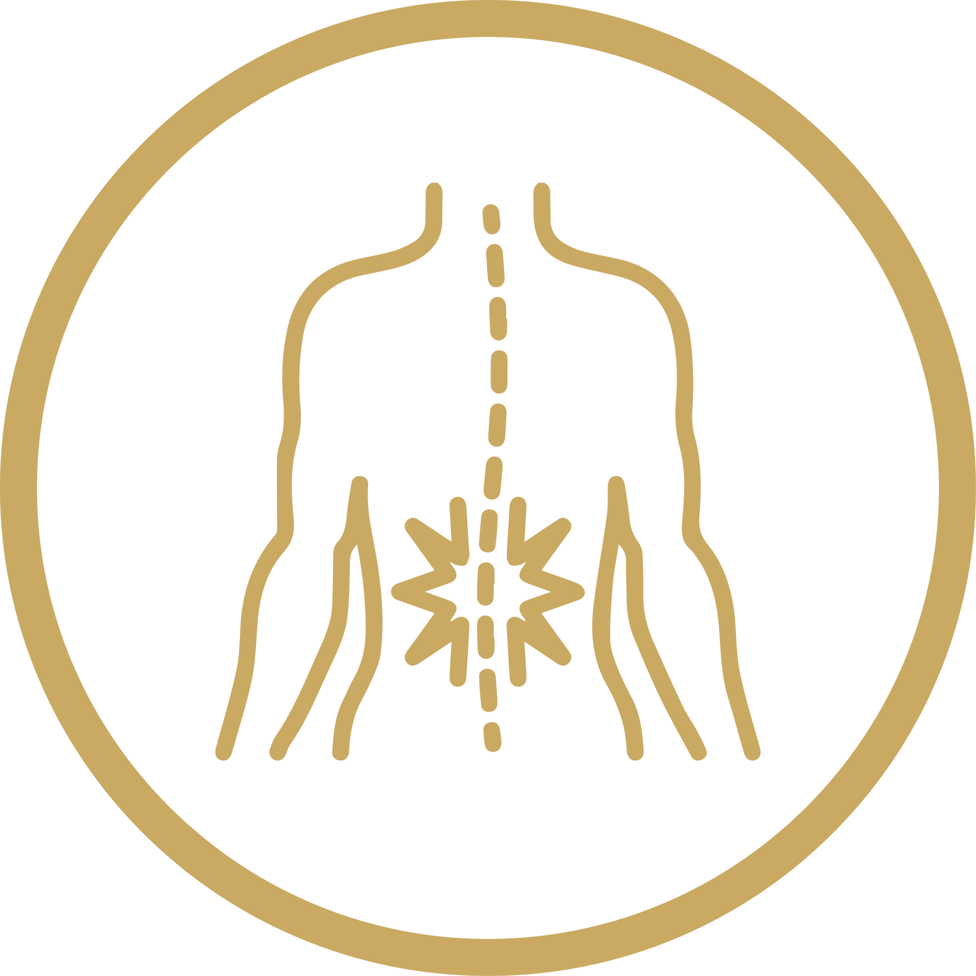 Gold line icon of a lower back with a centered spinal pain or injury symbol inside a circle