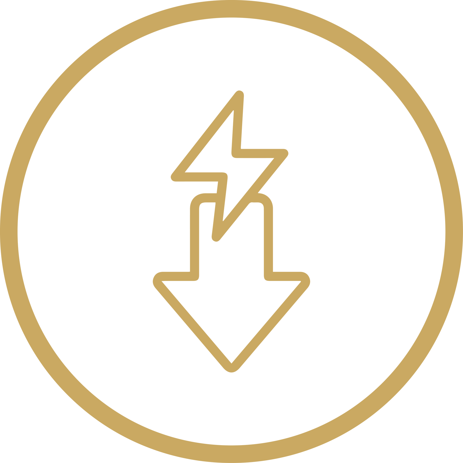 Gold lightning bolt inside a gold circle on a white background