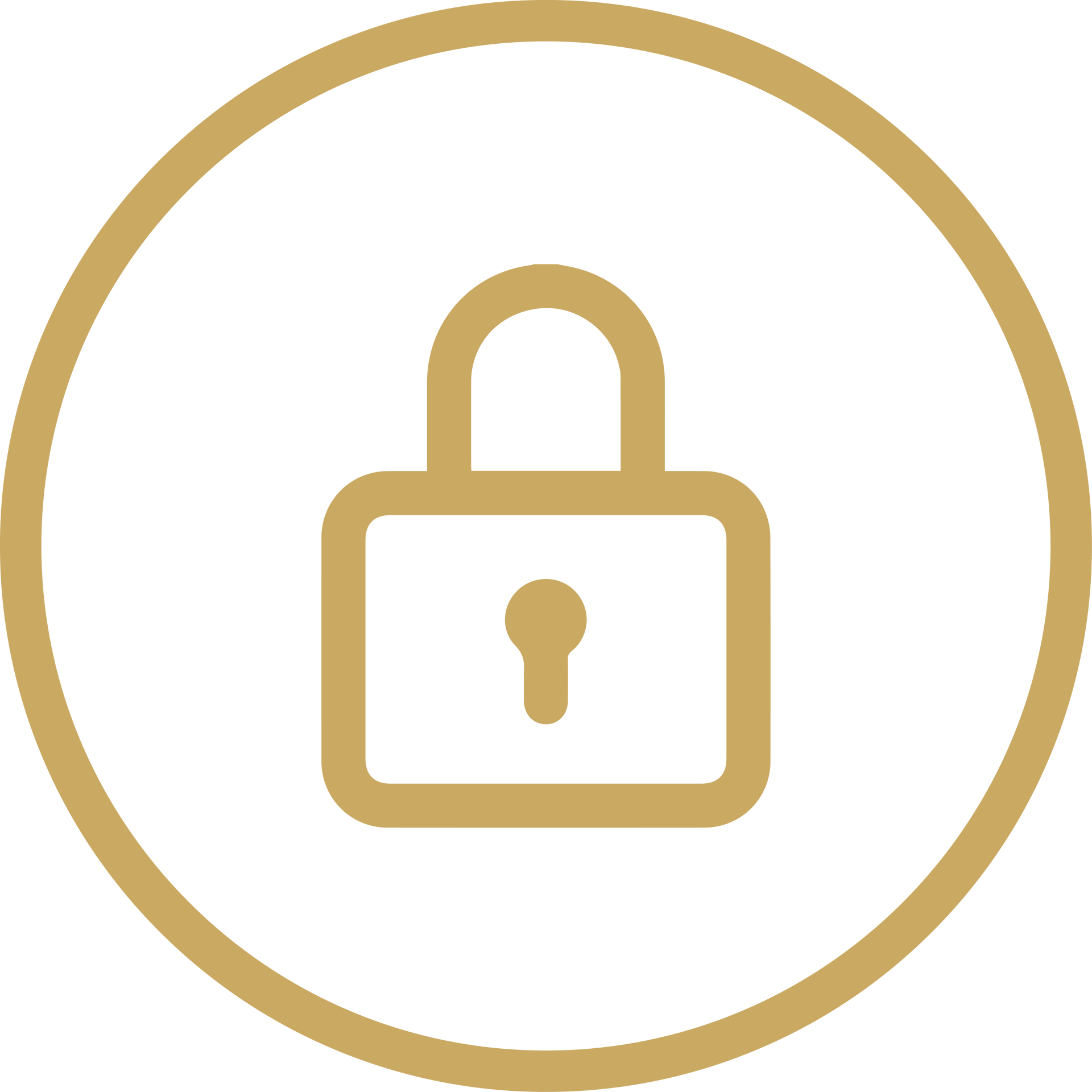 Gold padlock icon inside a gold circle on a white background