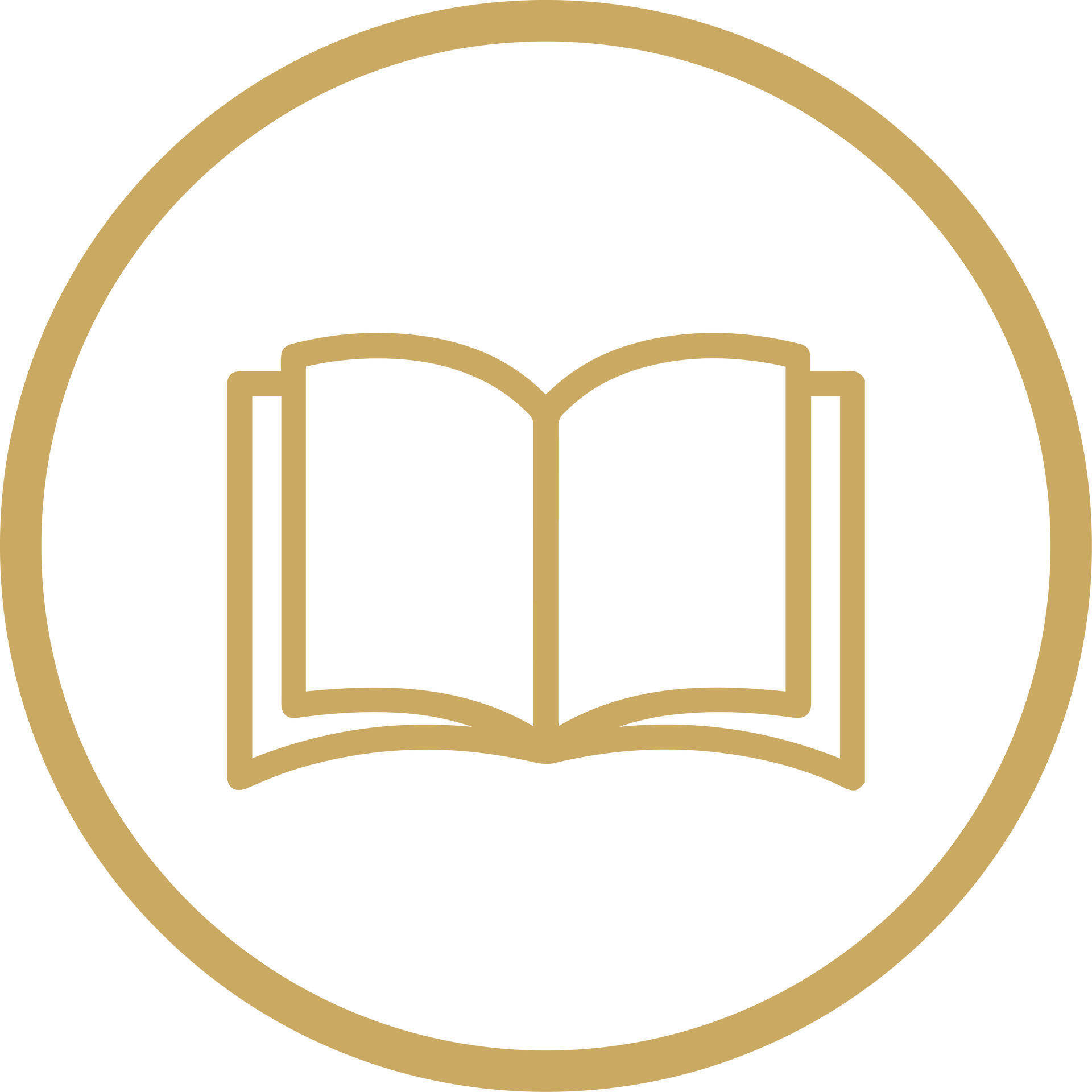 Gold outline icon of an open book inside a circle on a white background