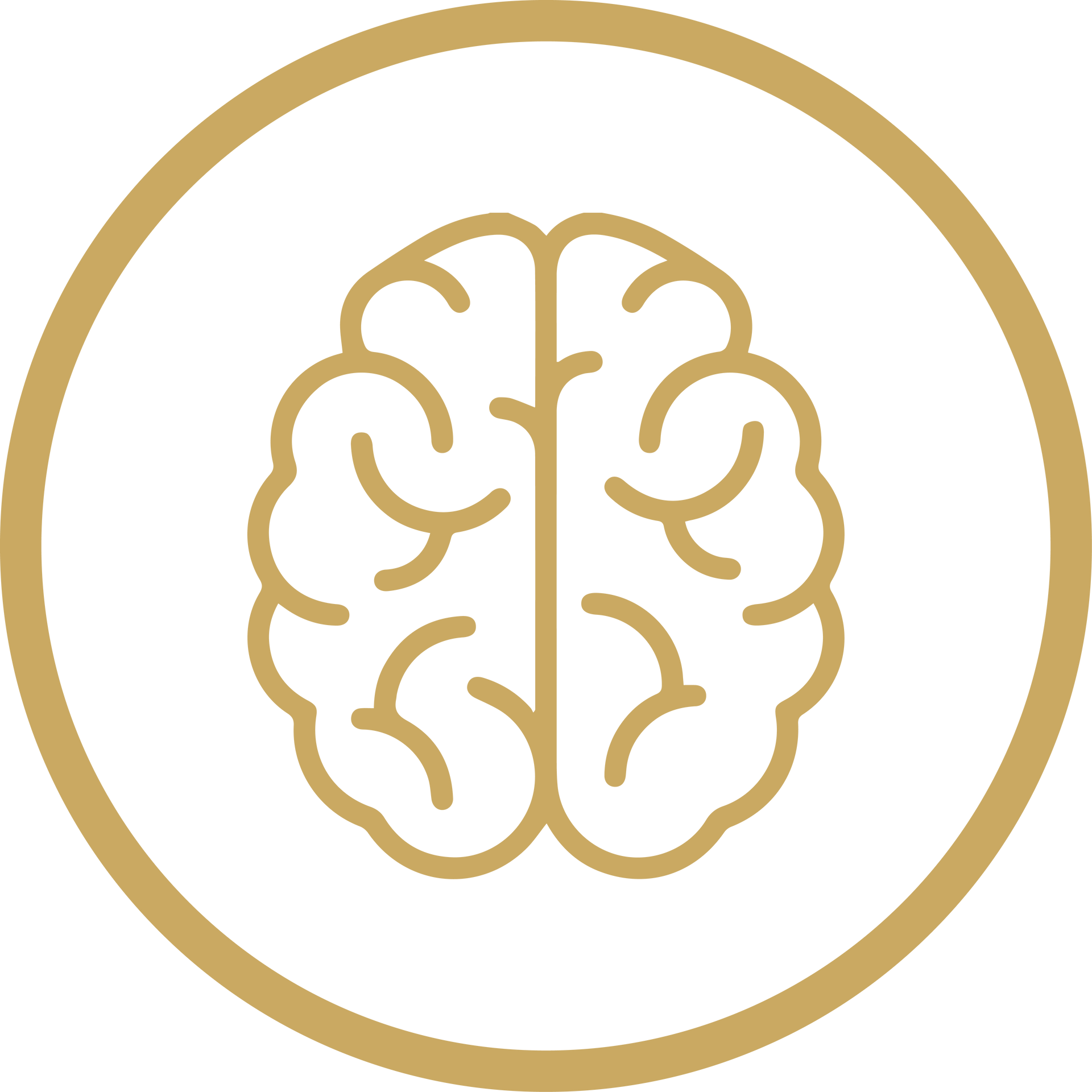 Gold outline brain icon inside a gold circle on a white background