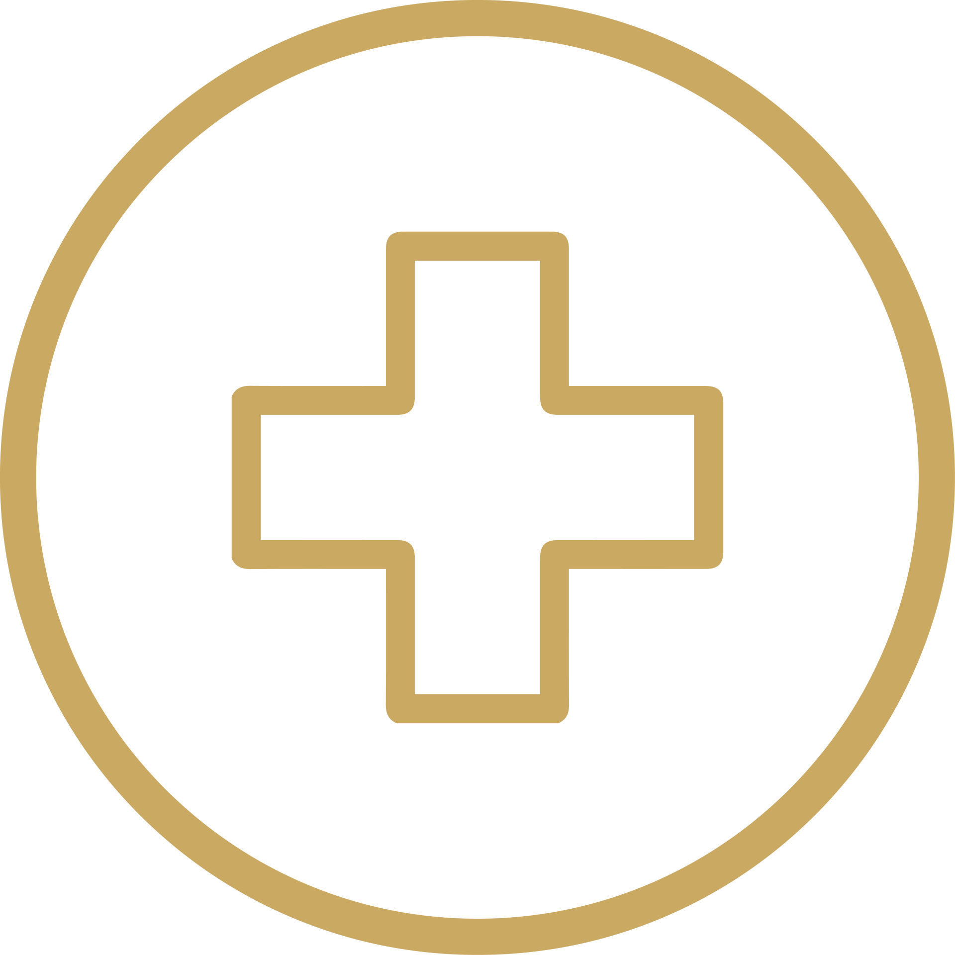 Gold medical cross inside a gold circle on a white background